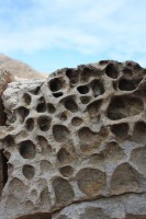 /album/natureza-nature/a190474-155946901131912-7015552-n-jpg/