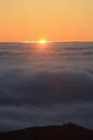 /album/natureza-nature/img-4762-jpg/