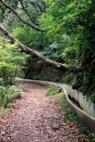 /album/natureza-nature/img-8000-jpg/