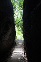 /album/natureza-nature/img-8008-jpg/