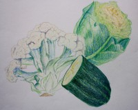 /album/desenhos-drawings/img-5853-jpg1/