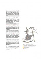 /album/relatorio-individual-individual-report/a09-jpg2/